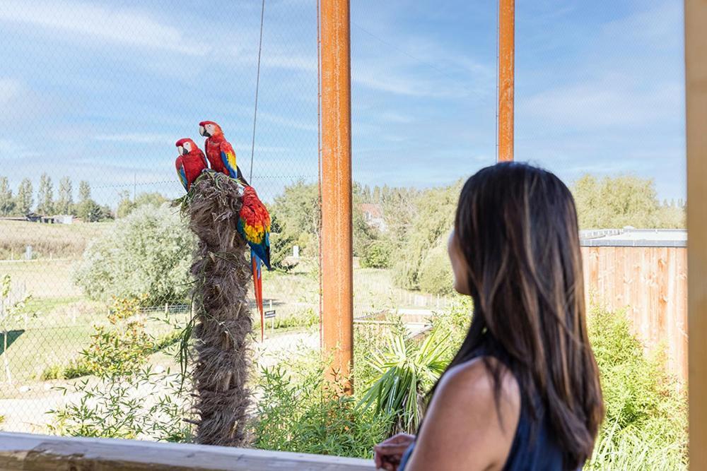 Parrot World - Les Lodges Crecy-la-Chapelle Exterior photo