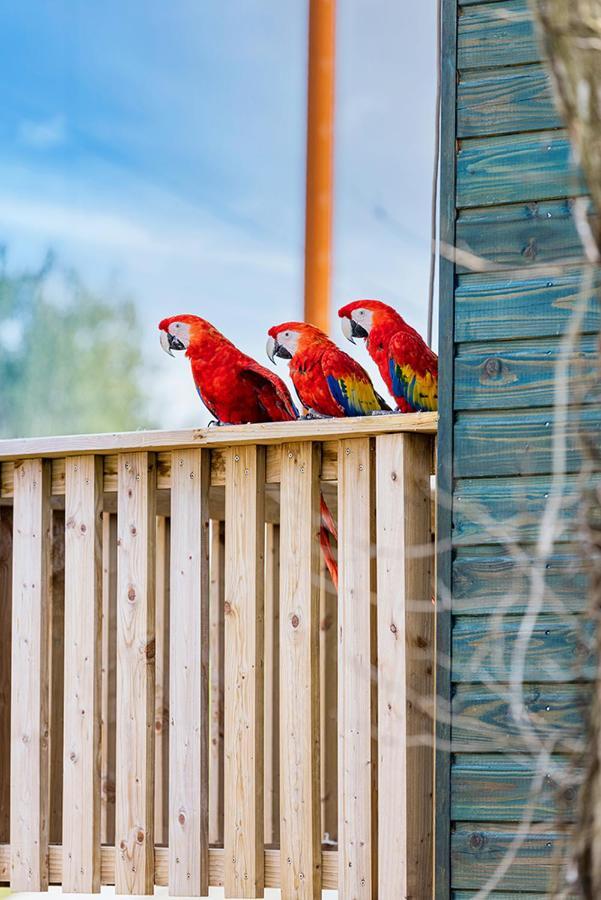 Parrot World - Les Lodges Crecy-la-Chapelle Exterior photo